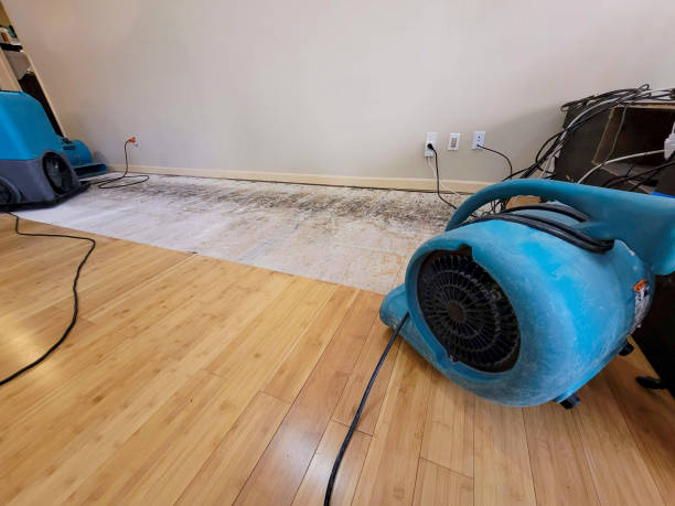 Professional Sewage Cleanup technician working in Wykoff, MN